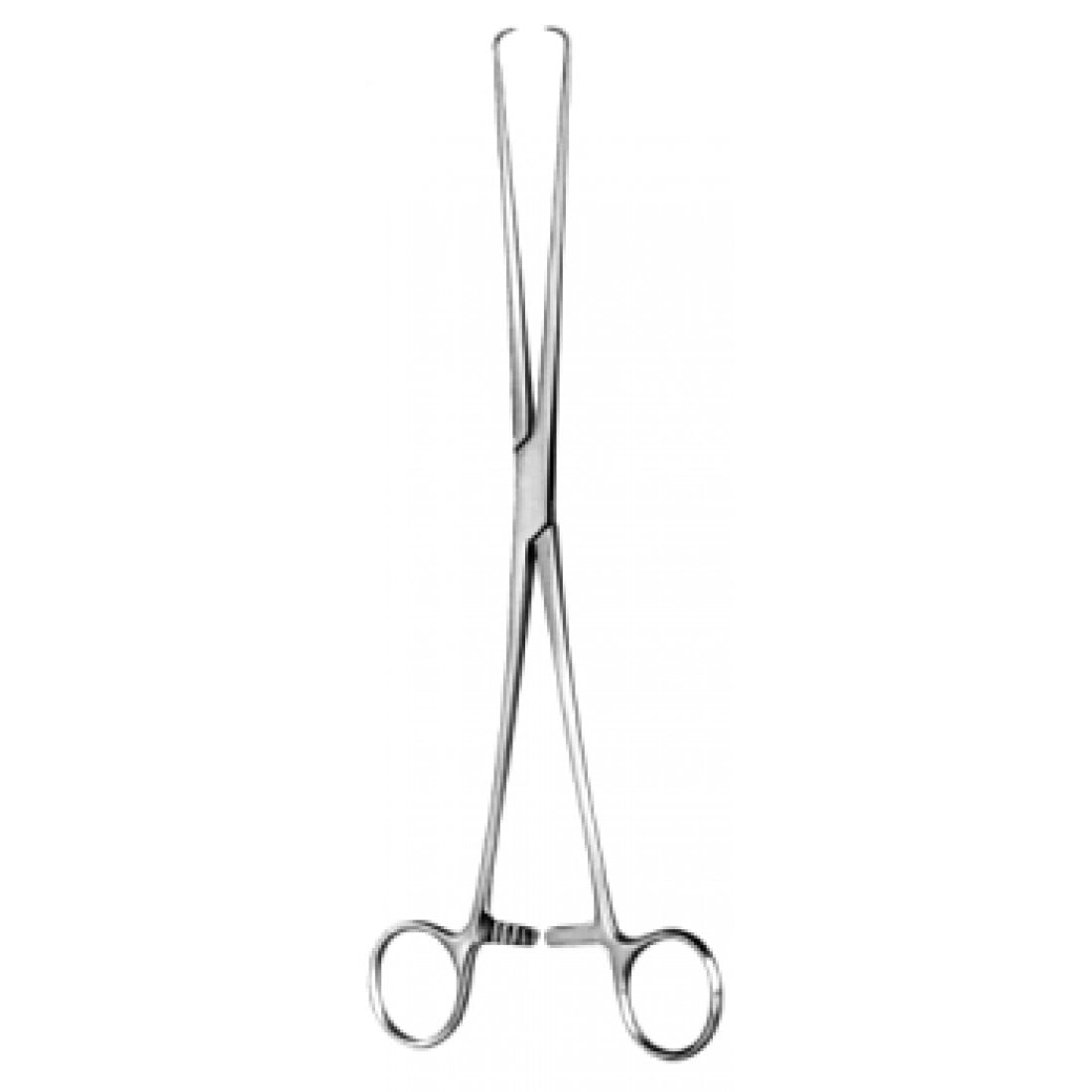 60.0584.25 Braun Tenakulum Forseps 25cm