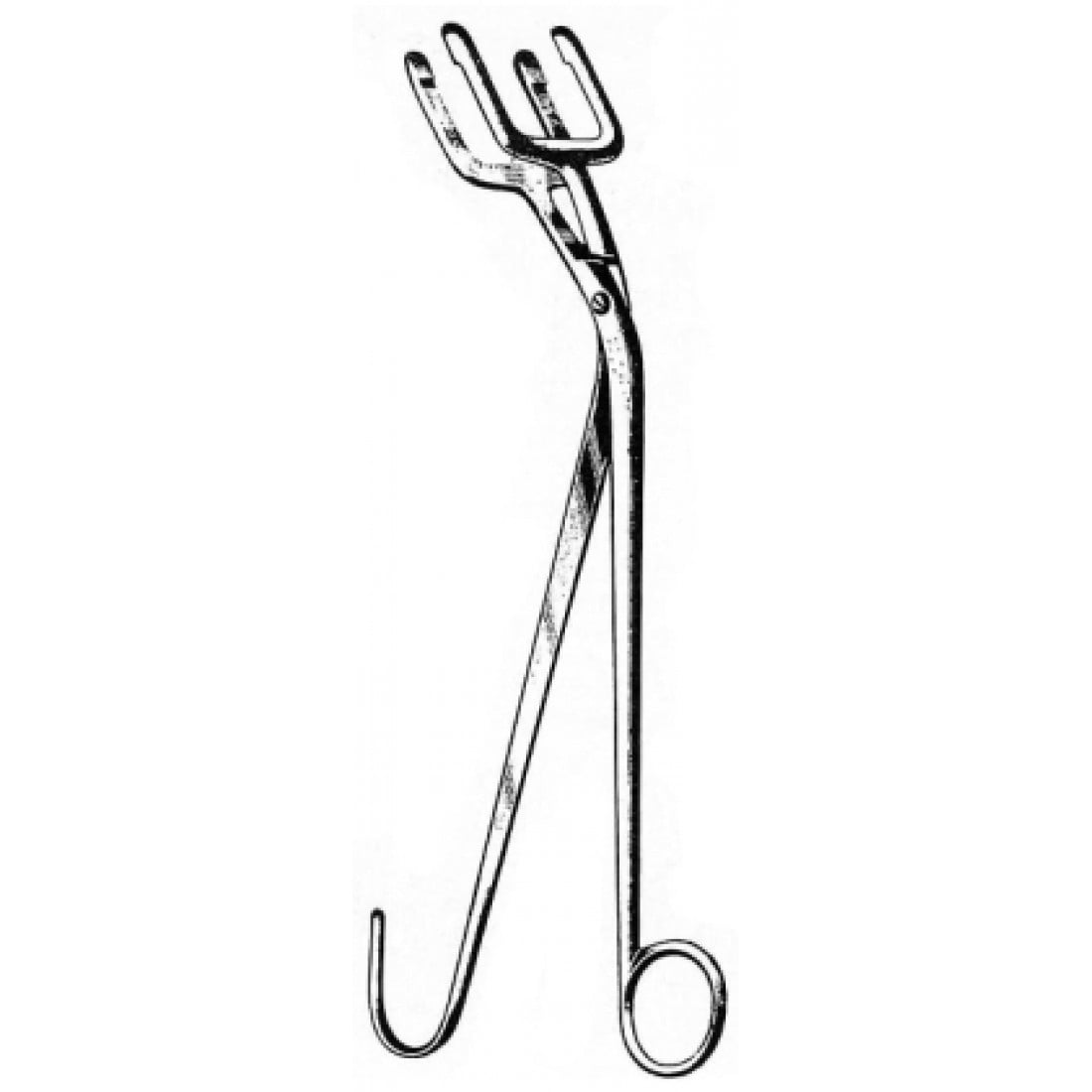 64.0080.30 Harrison Tas Forsepsi 30cm