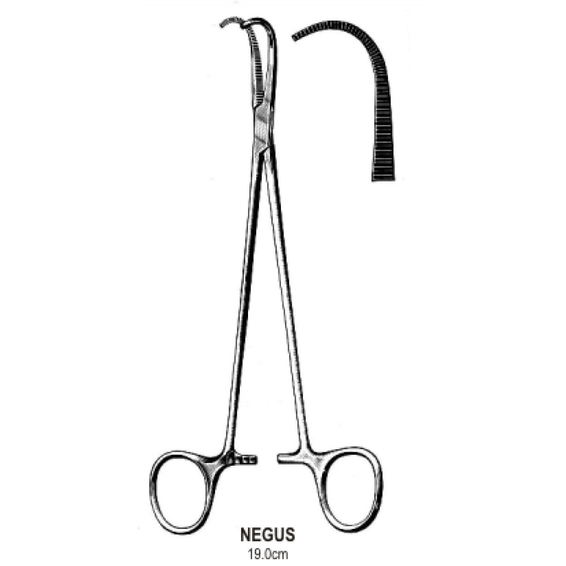 50.0230.19 Negus Tonsil Forseps Fig.1, 19cm