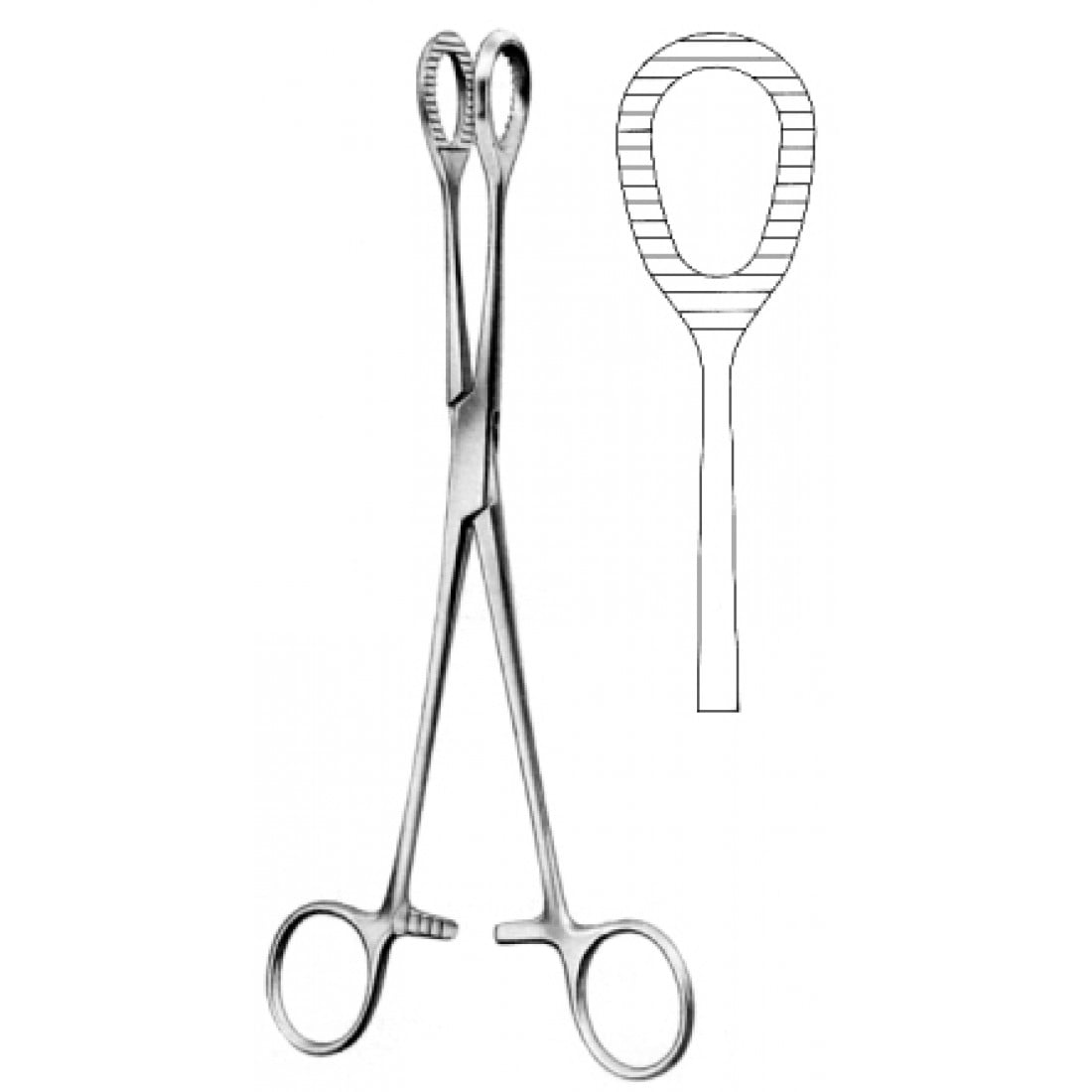 54.0380.21 Heywood Smith Forseps 21cm