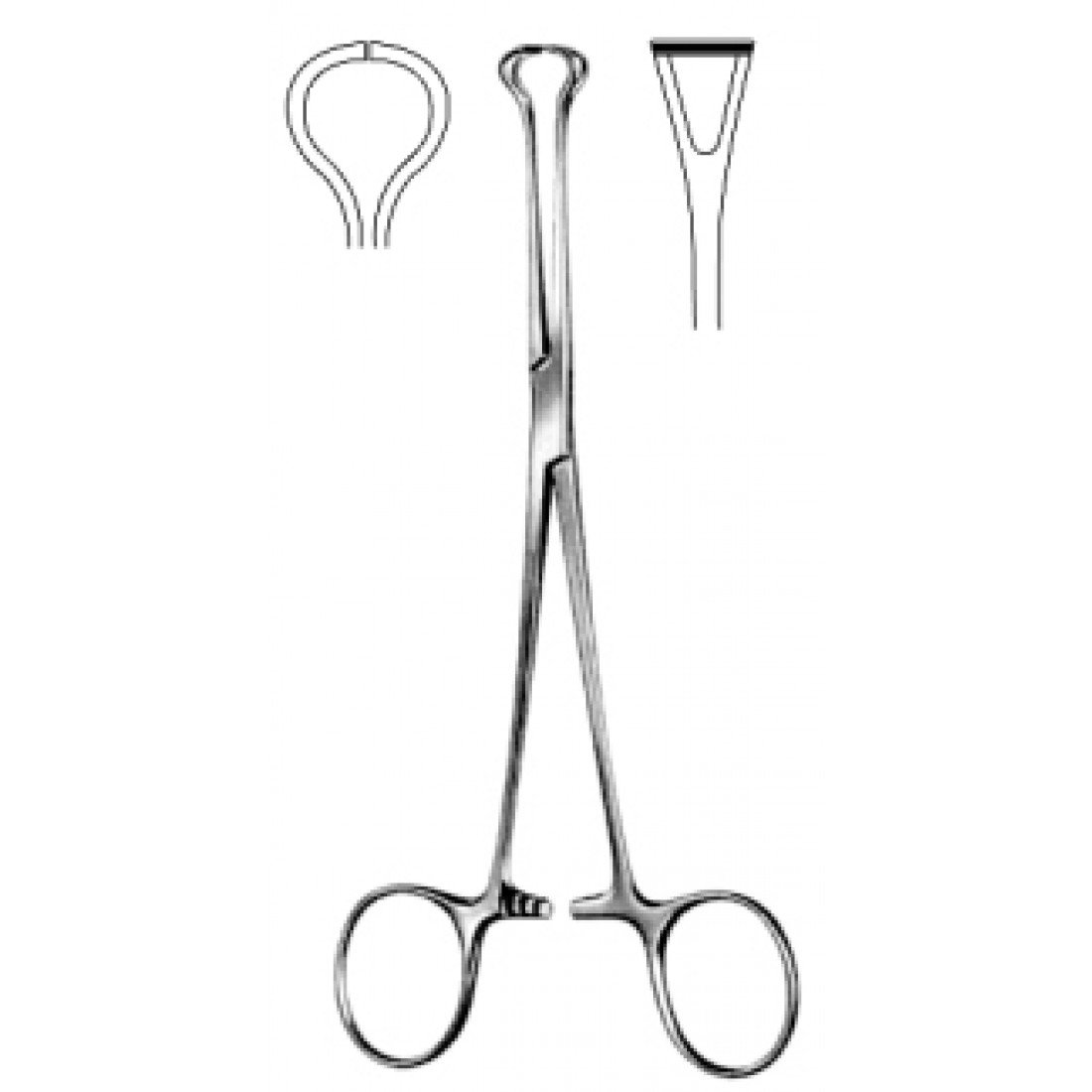52.0180.16 Babcock Doku Forsepsi Uzun Tırtıklı 16cm