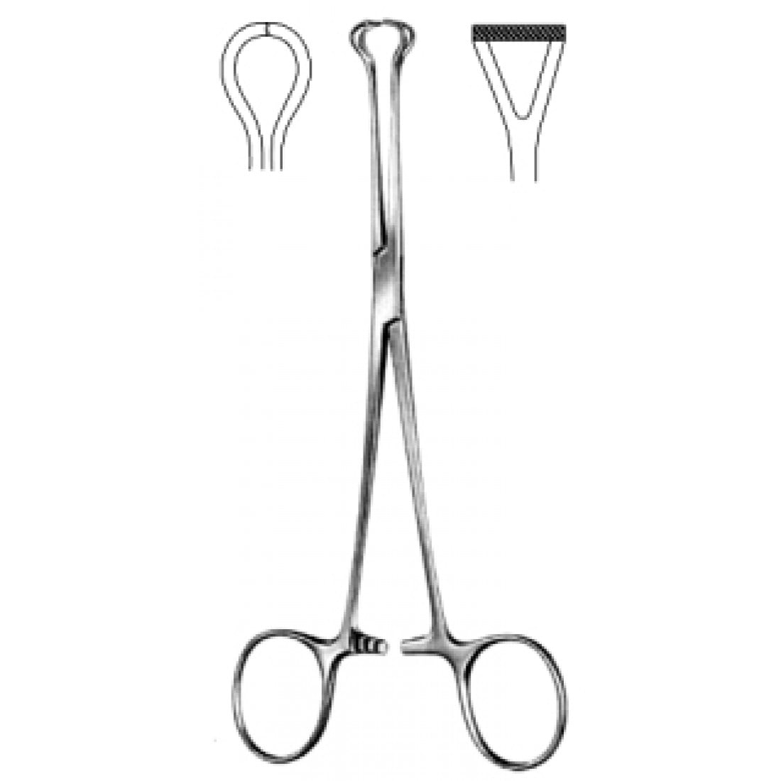 52.0182.20 Babcock Doku Forsepsi Çapraz Tırtıklı 20cm