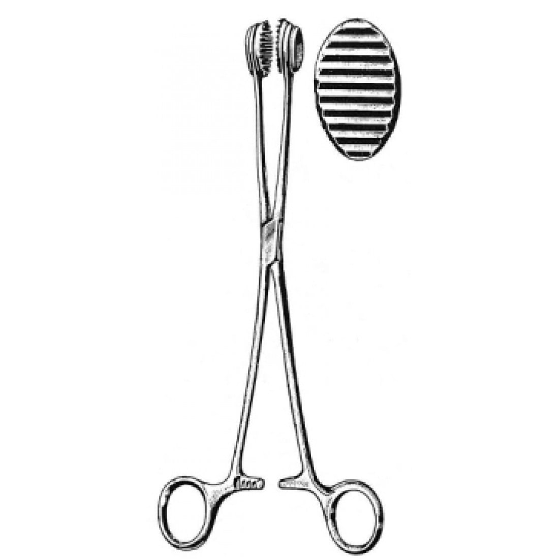 52.0150.24 Childs Bağırsak Tutma Forsepsi 24cm