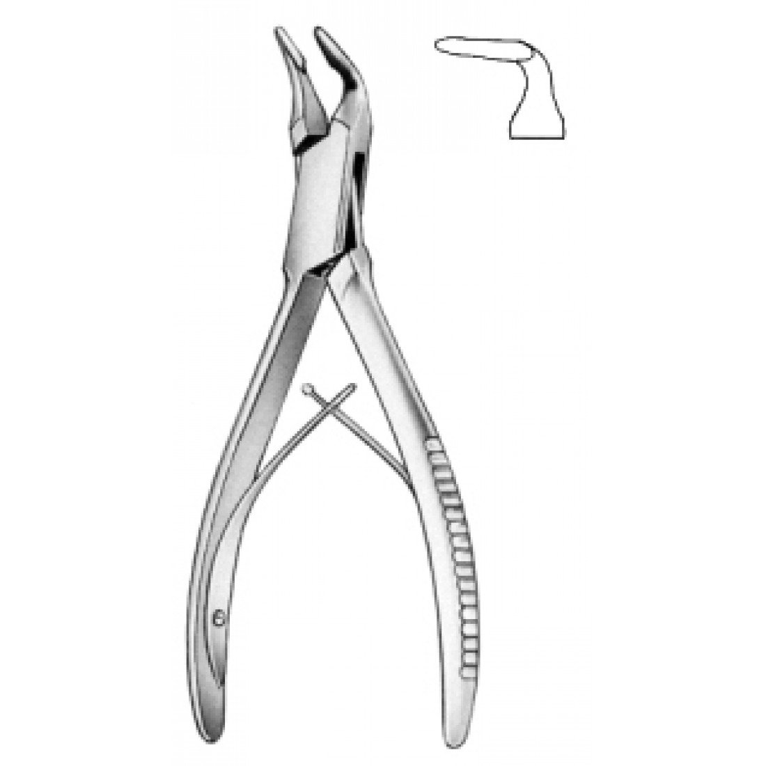 28.1180.03 Blumenthal Kemik Ronjuru  Eğri 15.5cm