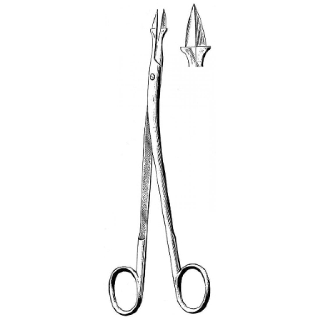 50.0228.20 Thilenius Tonsil Forseps 20cm