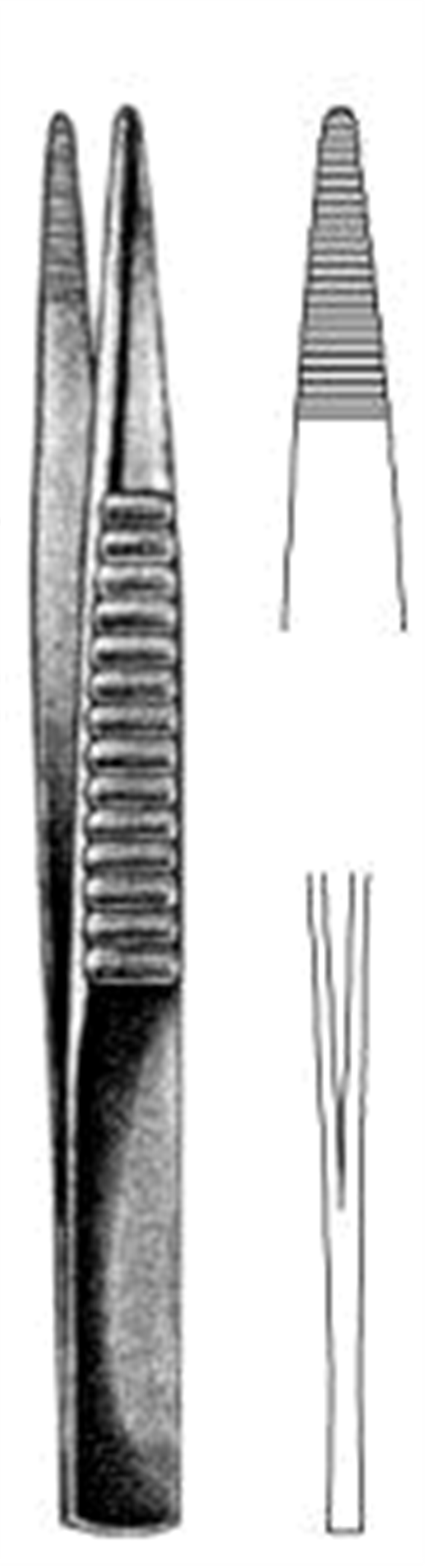 12.0038.25 Forseps (English patt.) B/E 25cm