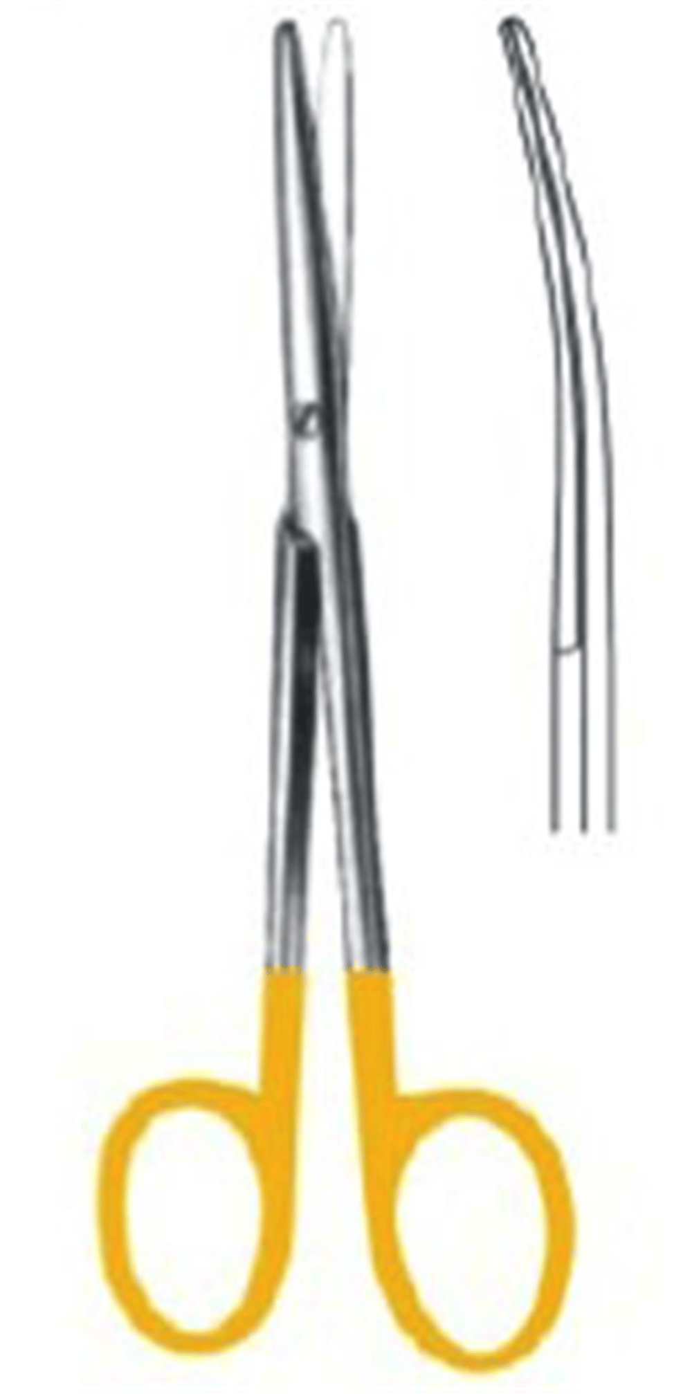 Lexer-Fino Diseksiyon Makası Eğri 16cm TC