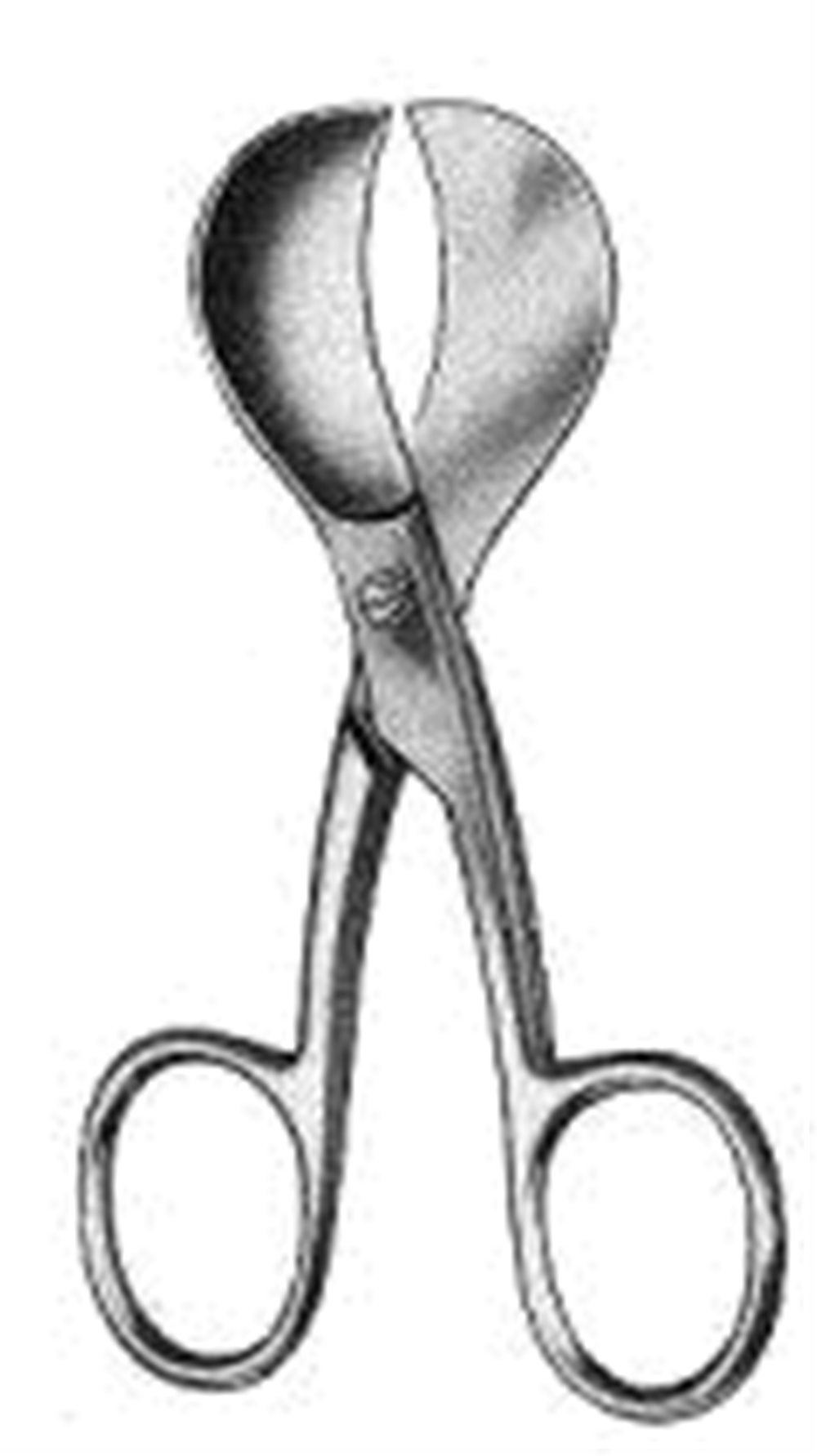 U.S.A patt Göbek Makası 10cm