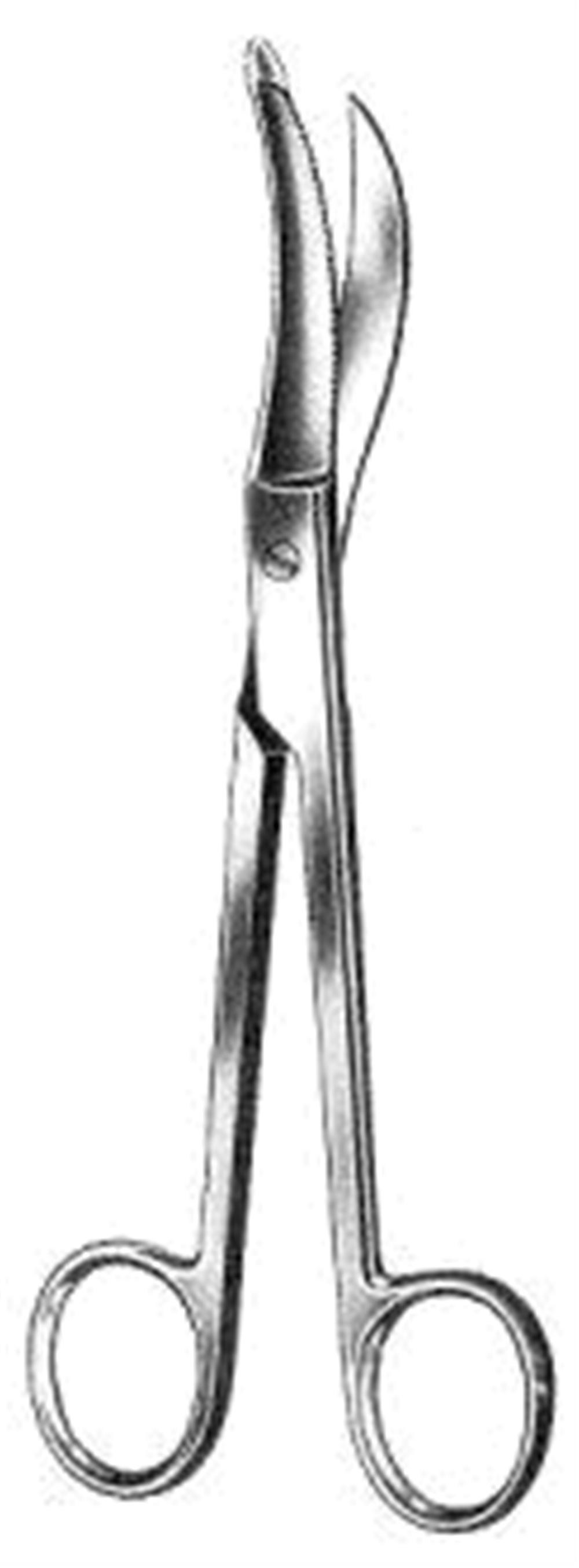 Waldmann Epizyotomi Makası 24cm