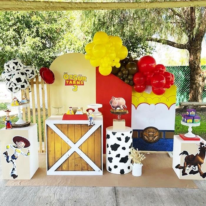 Toys Story Doğum Günü Organizasyon Paketi