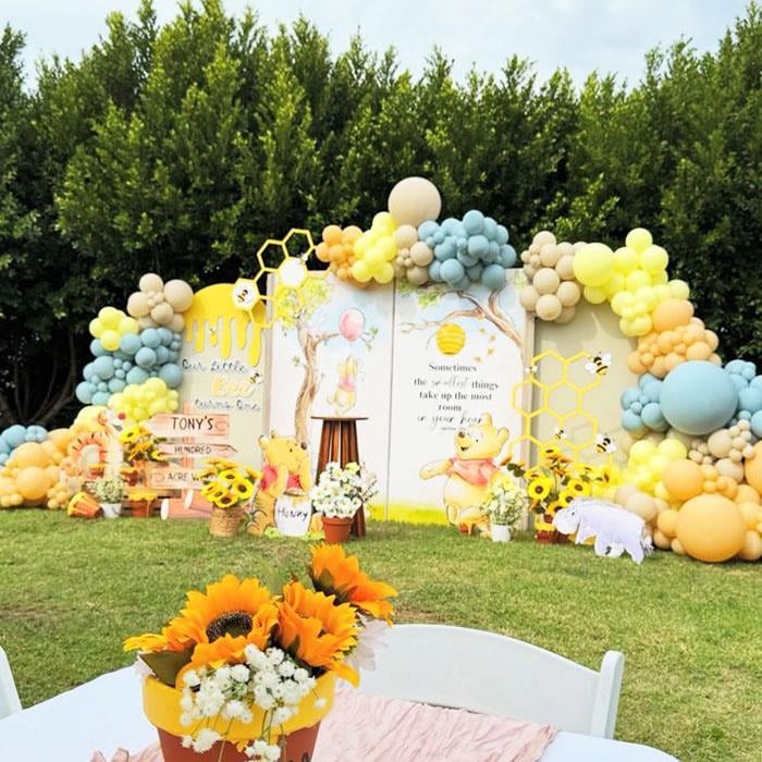 Winne The Pooh Doğum Günü Organizasyon