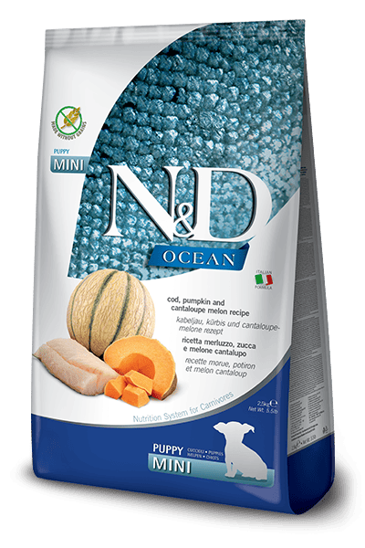 N&D OCEAN Morina balığı, bal kabağı ve kavun. Yavru köpekler, gebe veya emziren dişi köpekler için formüle edilmiş tam mamadır. 2.5kg