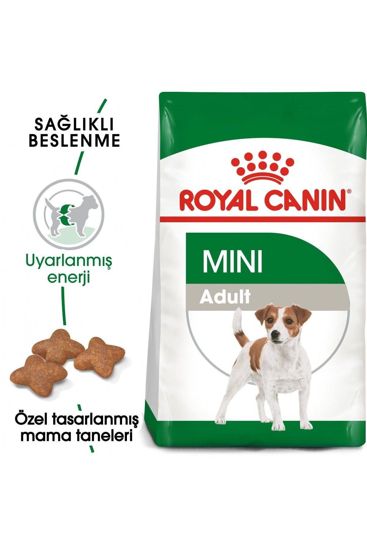 Royal Canin Mini Adult Köpek Maması, 4 Kg