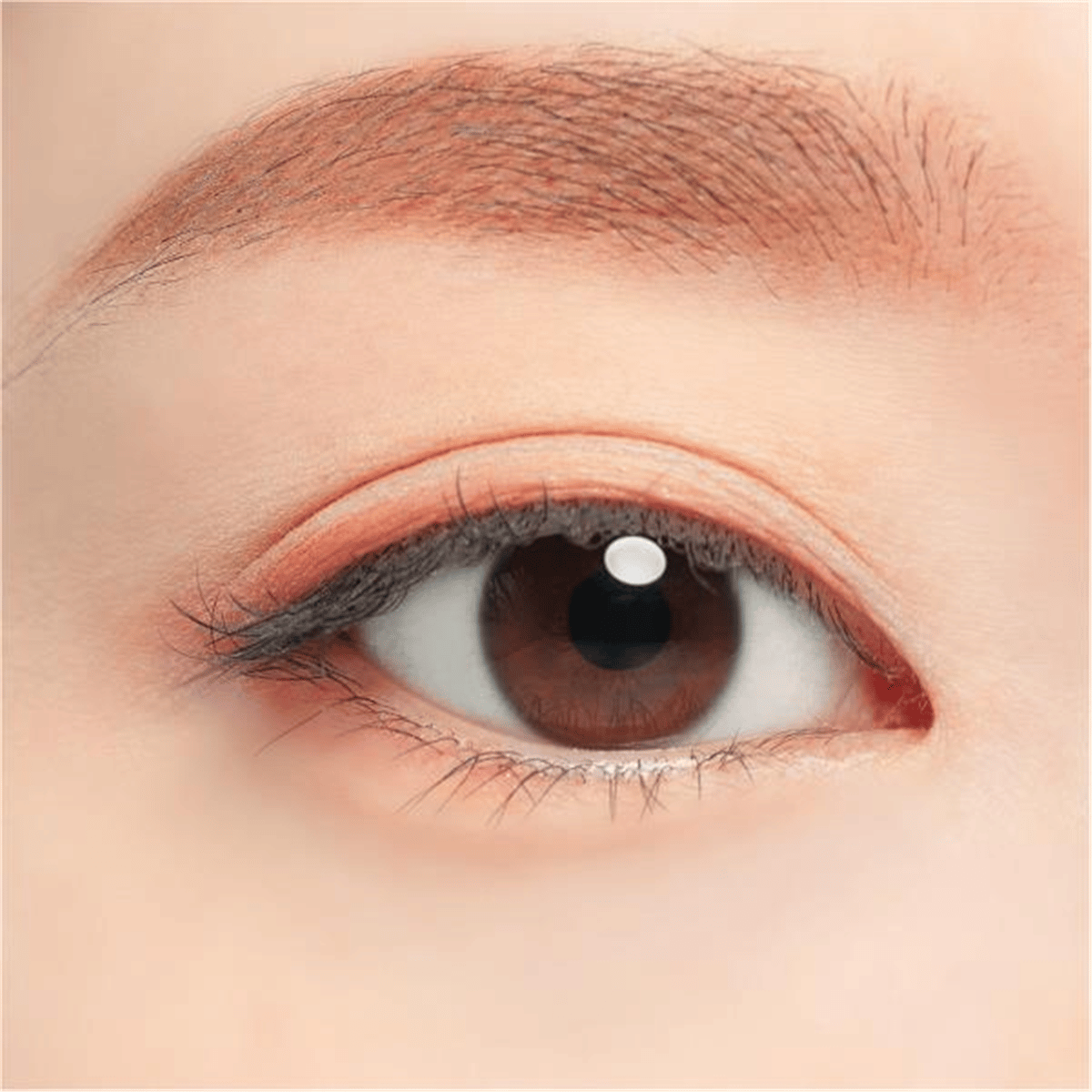 Chacott Multi Color Variation MA05
