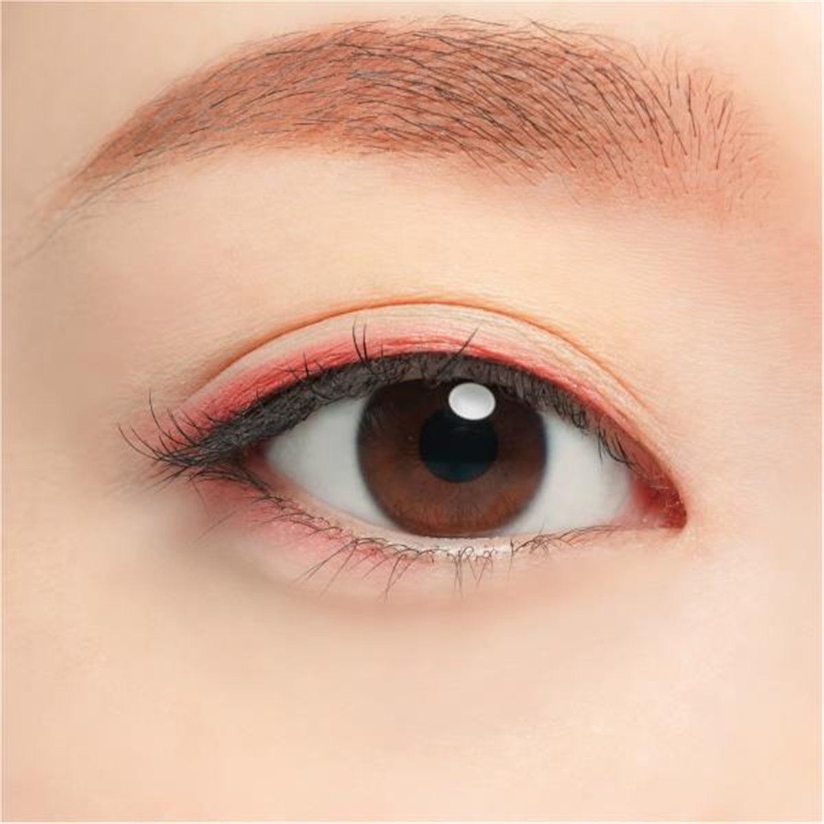 Chacott Multi Color Variation PE01