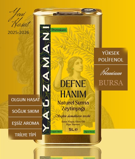 5 Litre Olgun Hasat Naturel Sızma Zeytinyağı