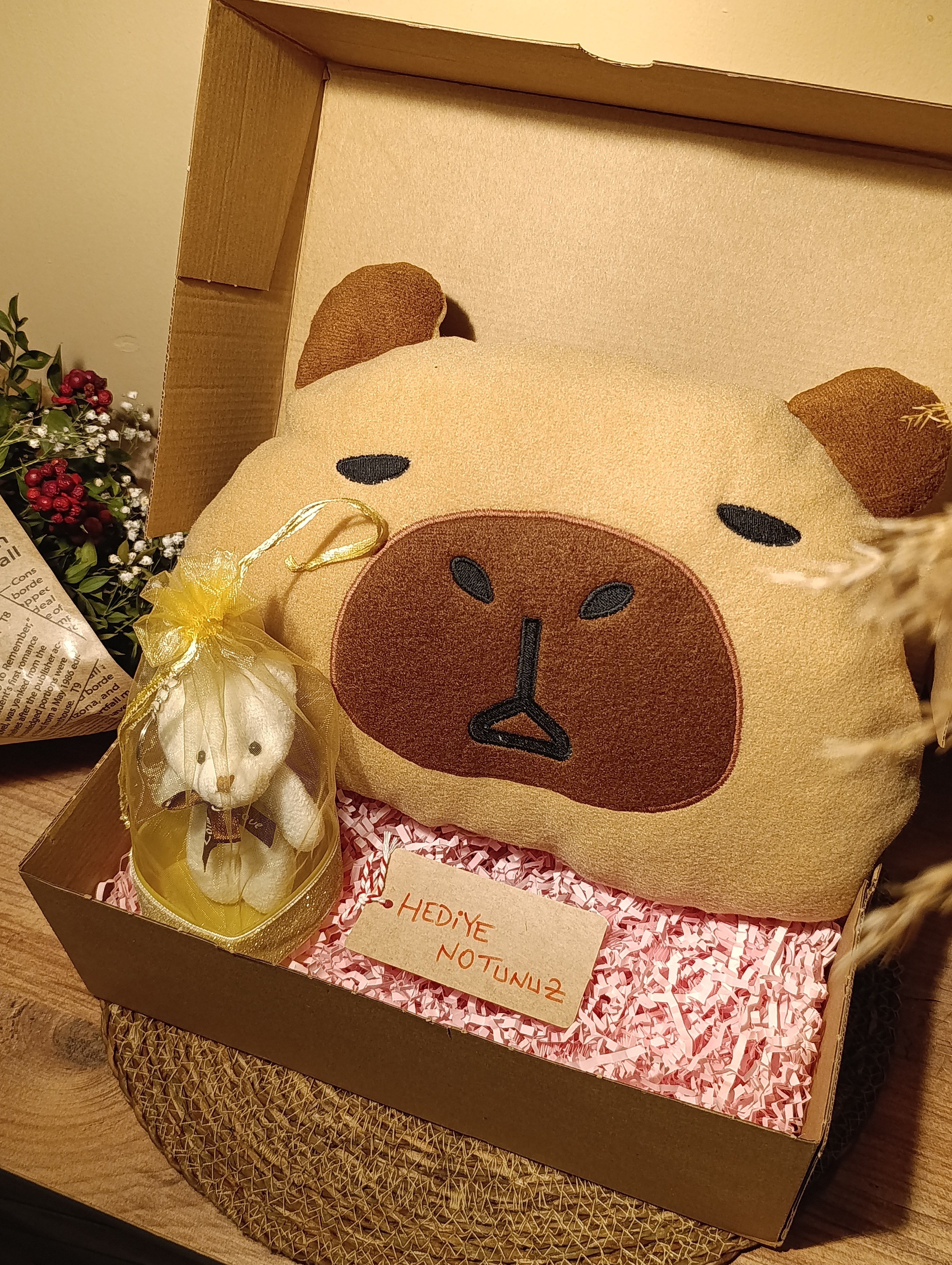 Kutulu Hediye Seti / Capybara Yastık 30cm, Ayıcık Anahtarlık ve Kalp Şeklinde Tüllü Kutu