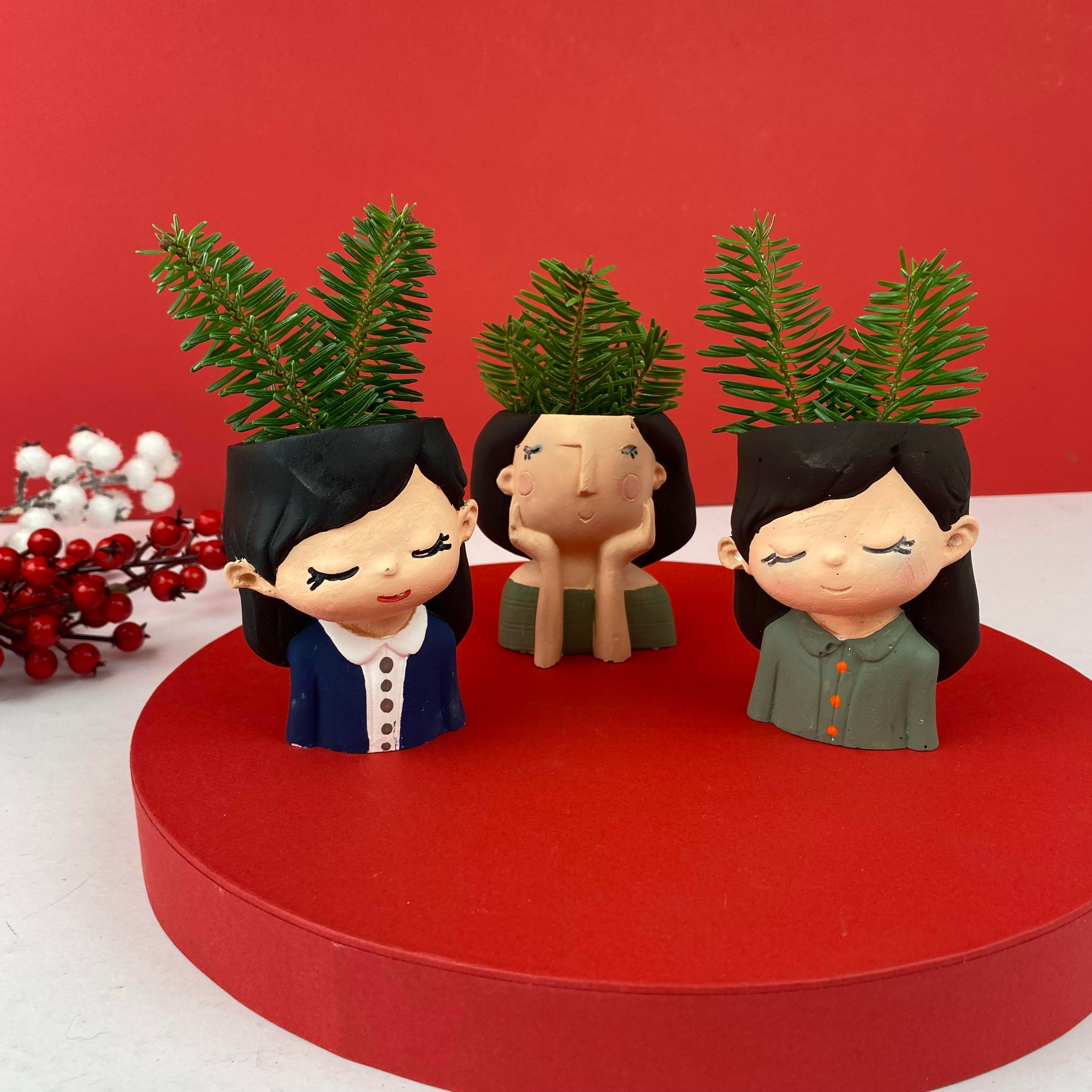 It's Cold Outside Mini Saksı Hediye