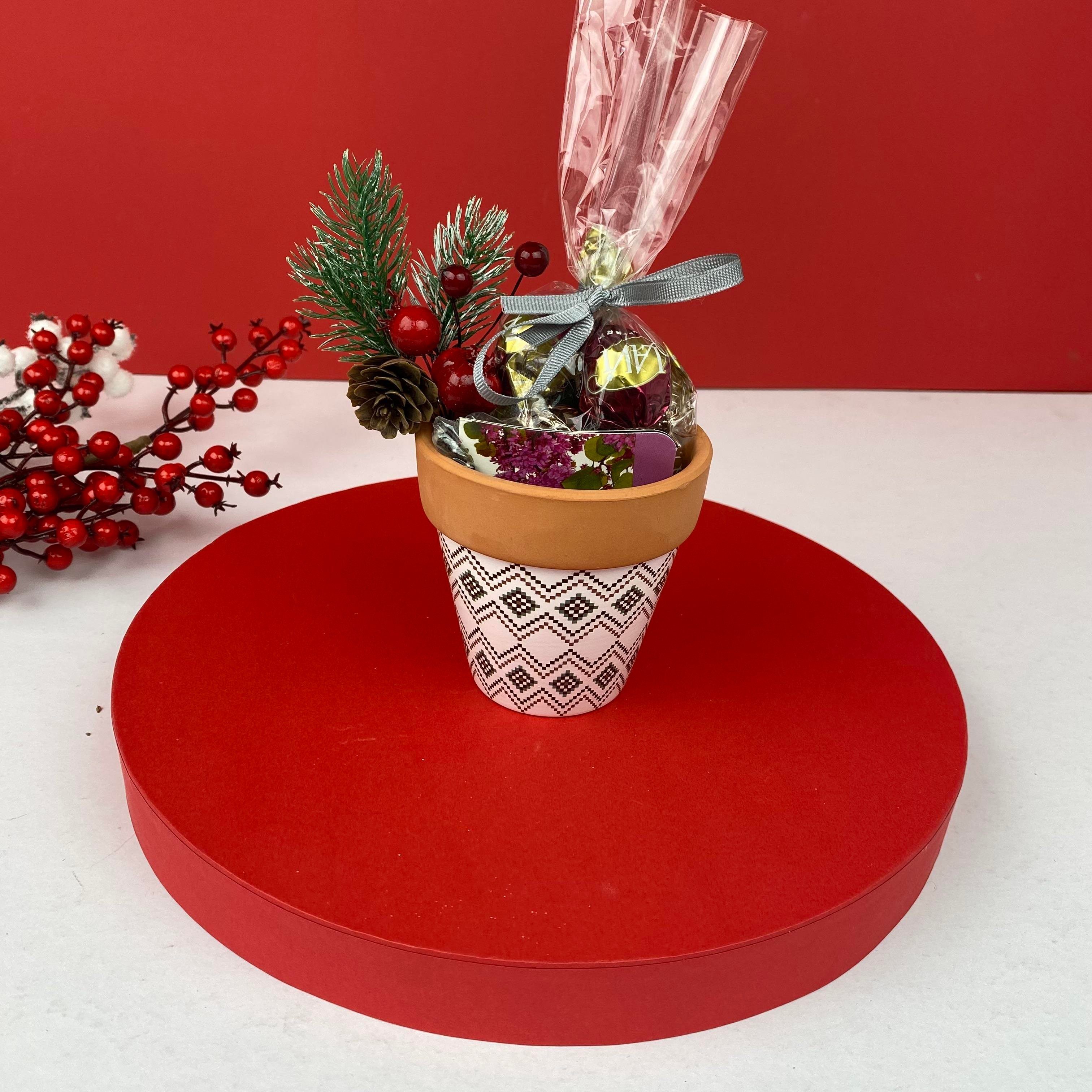 Yılbaşı Saksısı 