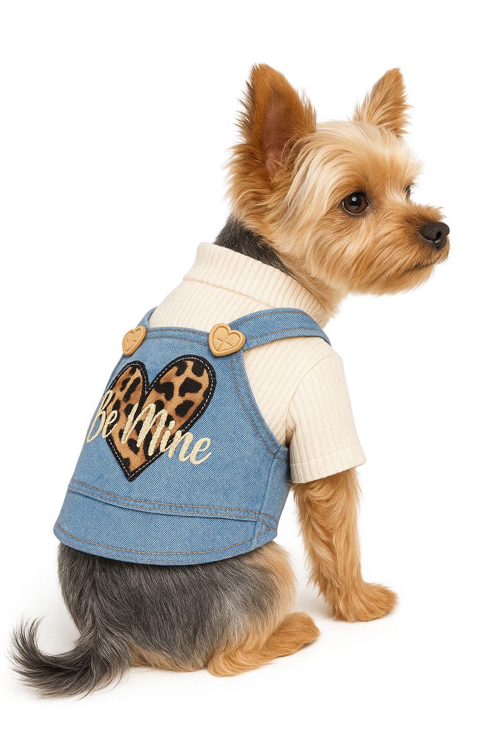 Dolce Pets Be Mine Kazak