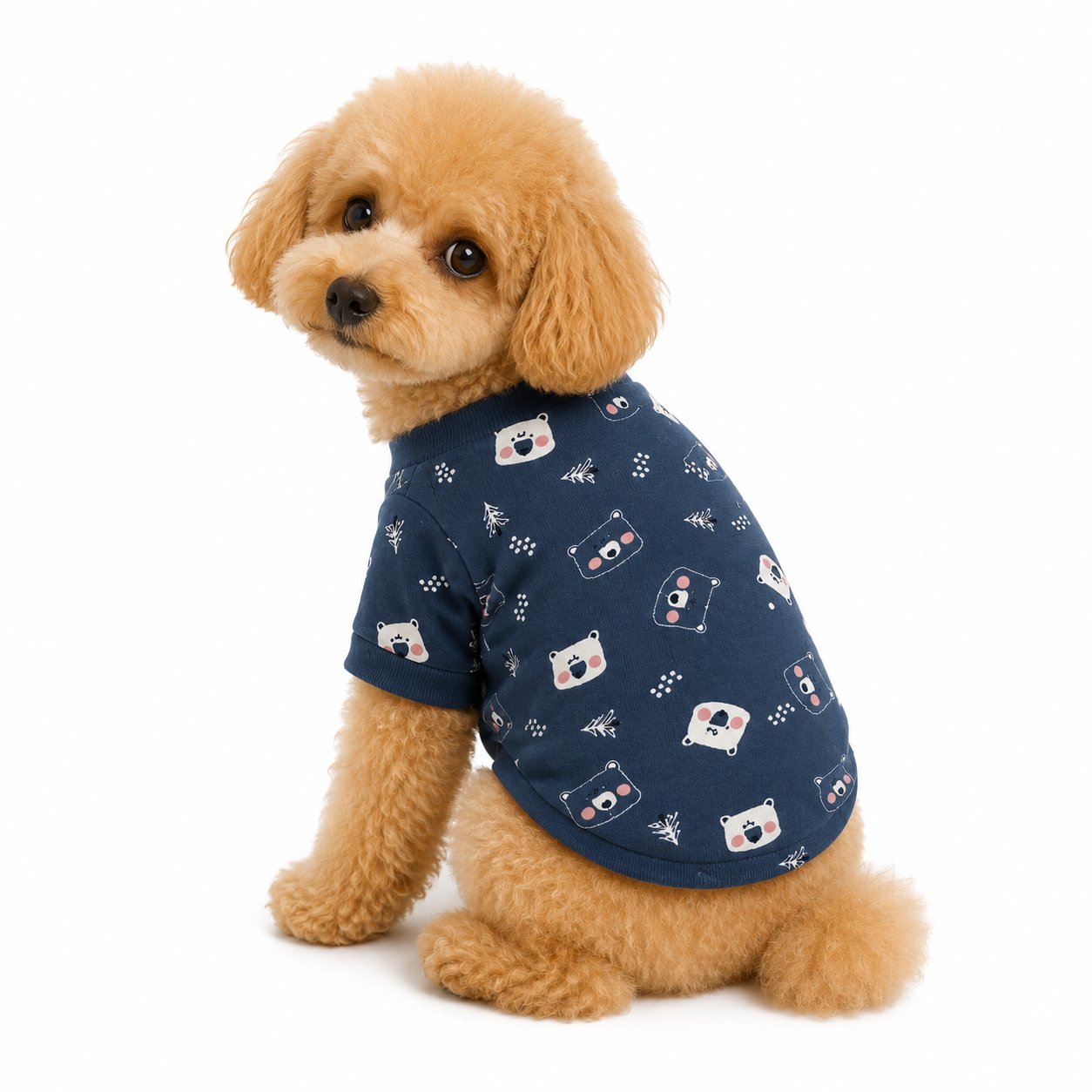 DolcePets Ayıcıklı Tişört