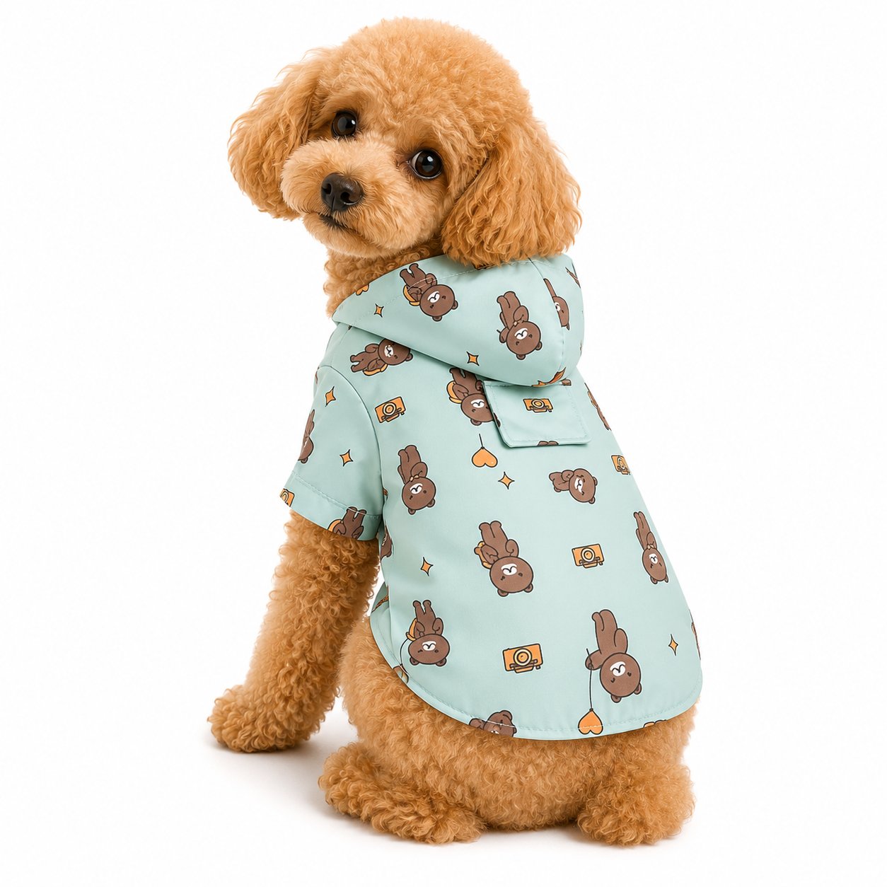 DolcePets Bear Köpek Yağmurluğu/Mavi