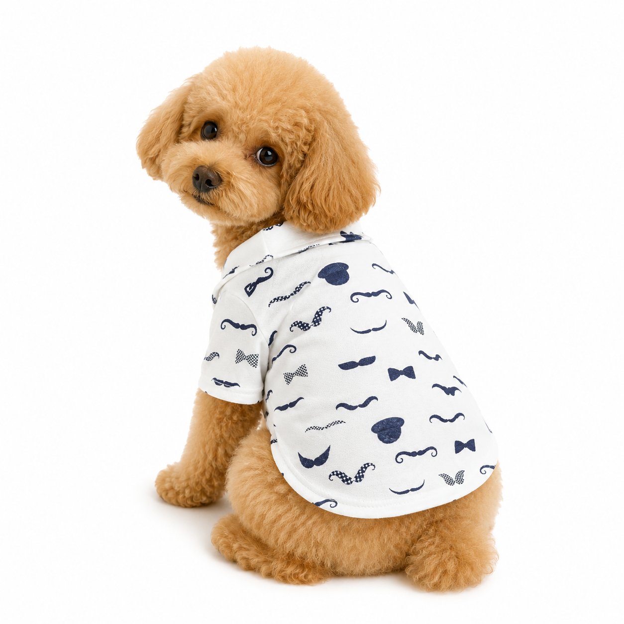 DolcePets Gentleman Style Tişört