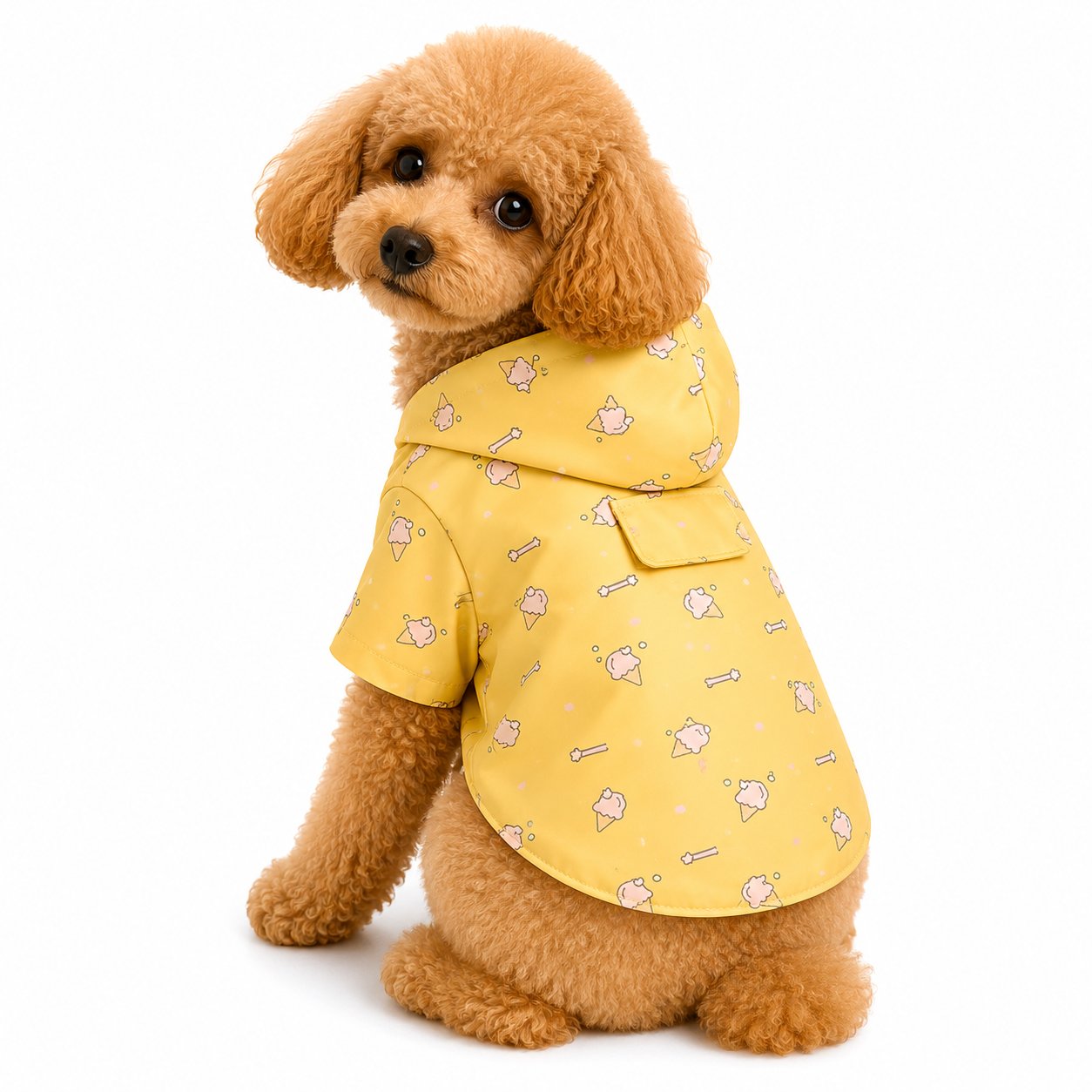 DolcePets İce Cream Köpek Yağmurluğu/Sarı