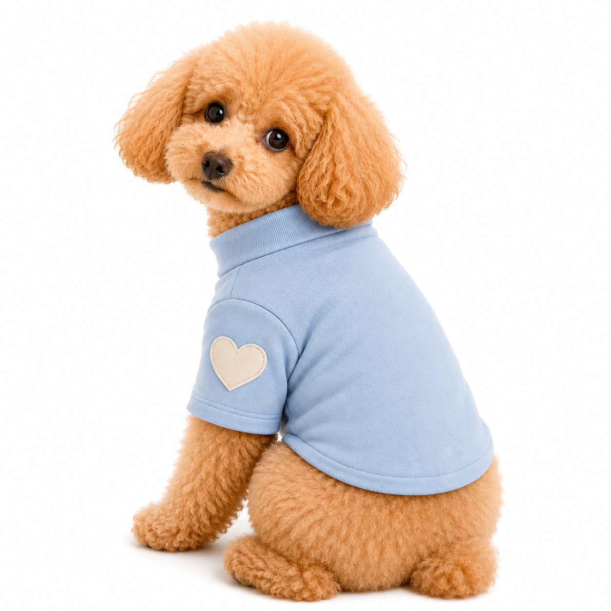 DolcePets Kalpli Kazak/Mavi