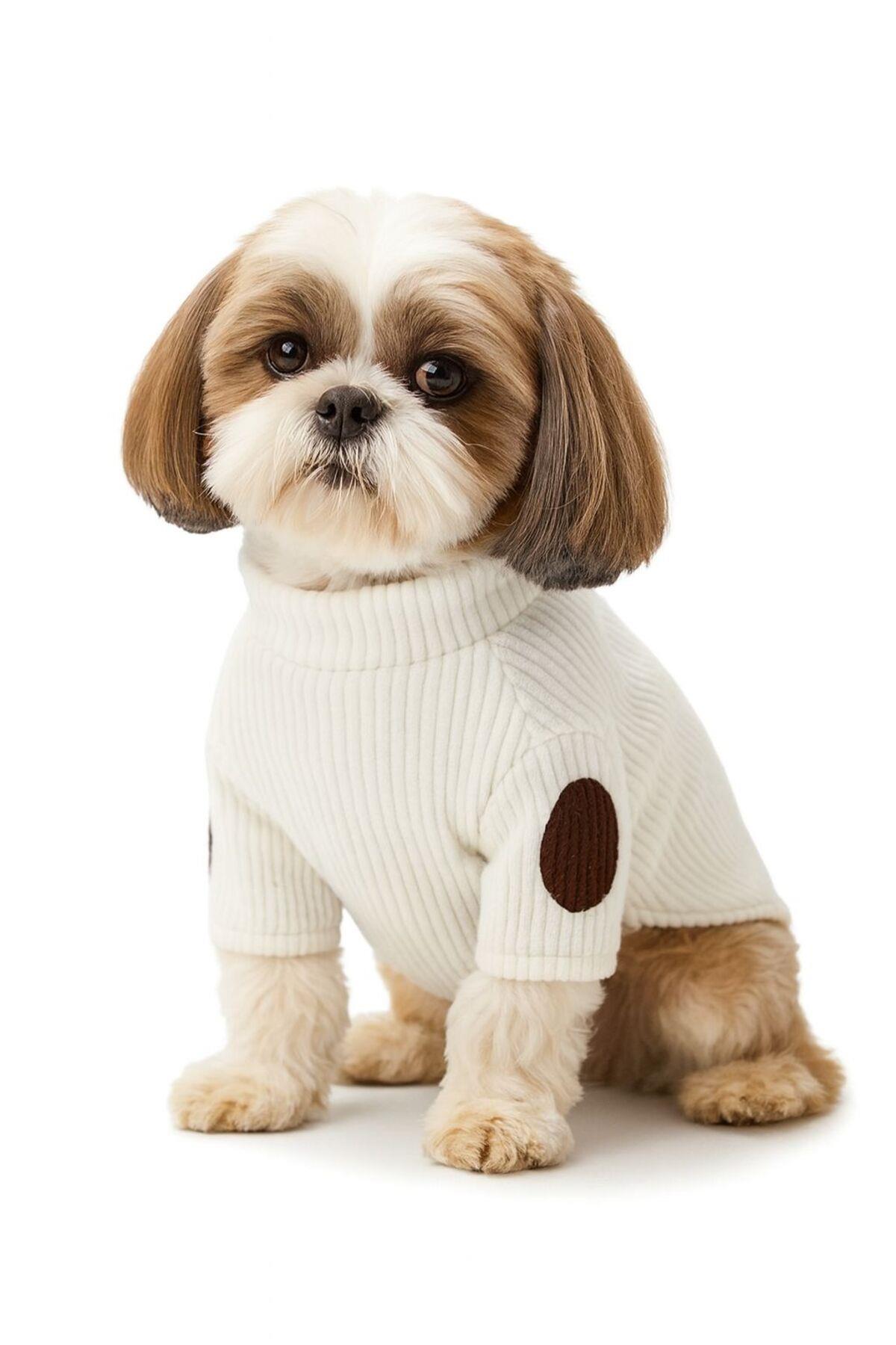 DolcePets Kedi Köpek Kıyafeti / Köpek Kazağı /Beyaz