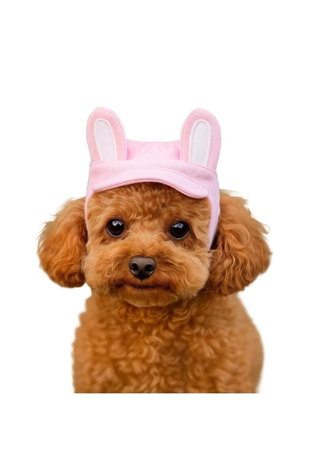 DolcePets Tavşan Kulaklı Şapka/Pembe