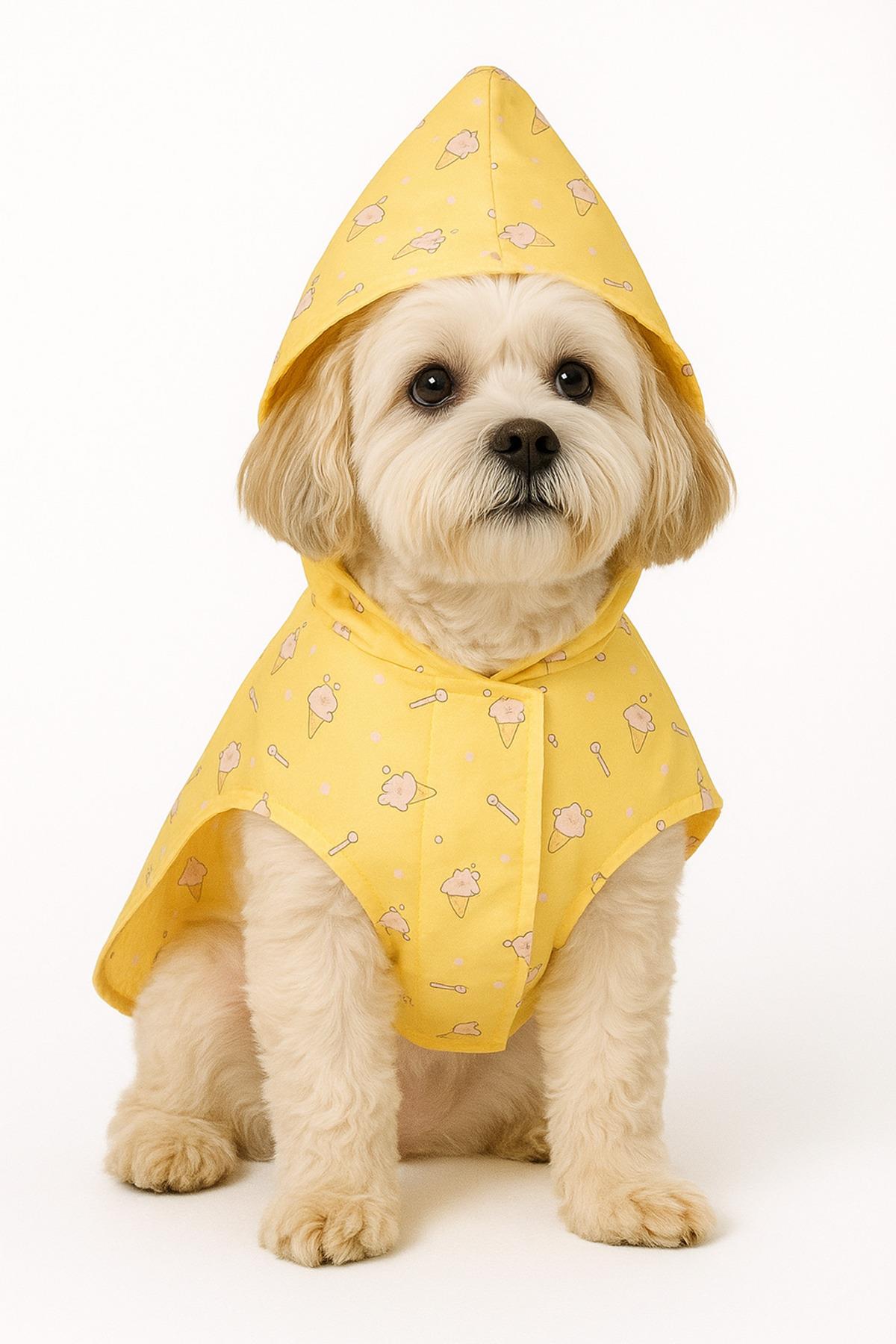 DolcePets/İce Cream Köpek Yağmurluğu