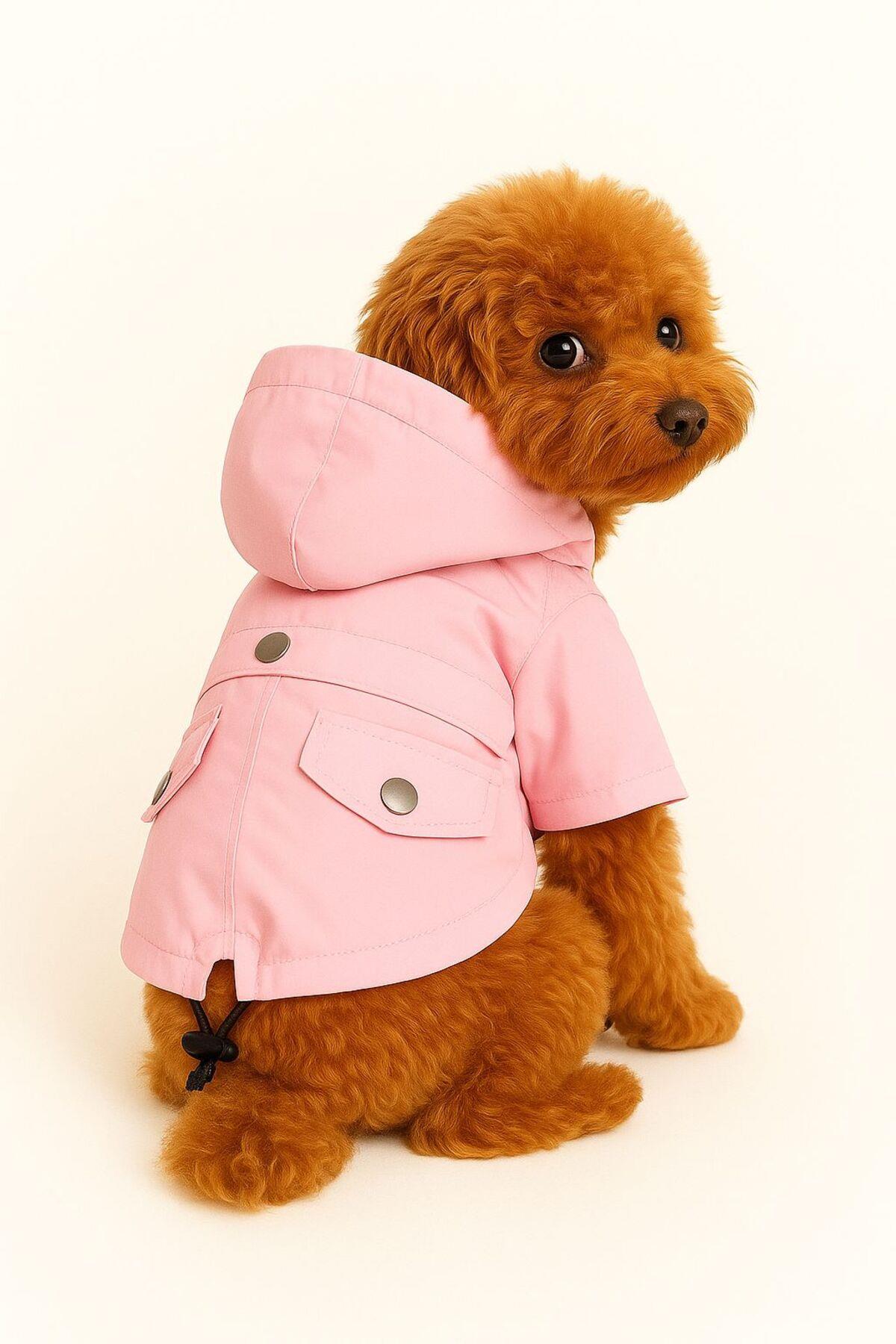 Kedi Köpek Kıyafeti & Elbisesi Köpek Yağmurluğu Pembe