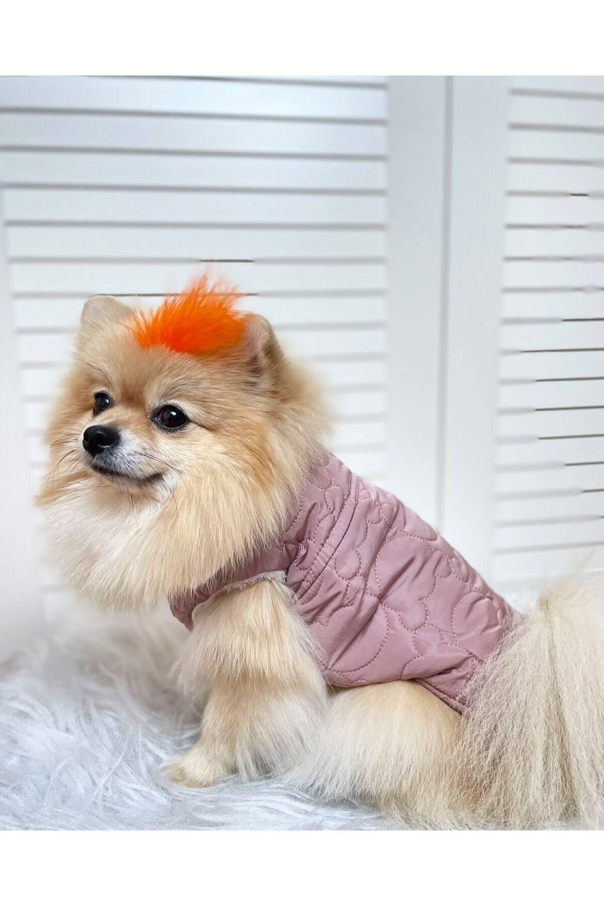 Kedi Köpek Kıyafeti & Elbisesi Köpek Yeleği Puffer Vest Pembe
