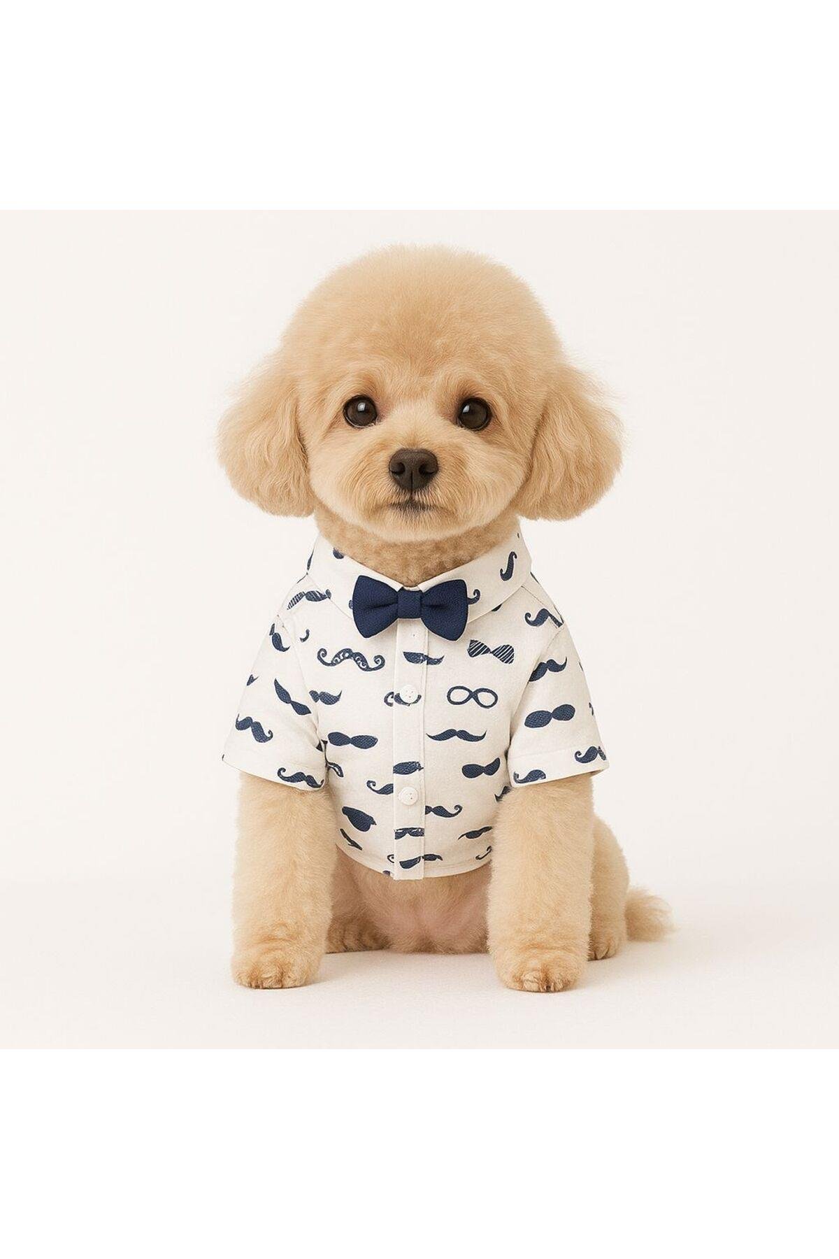Kedi Köpek Kıyafeti Gentleman Style/Köpek Tişört