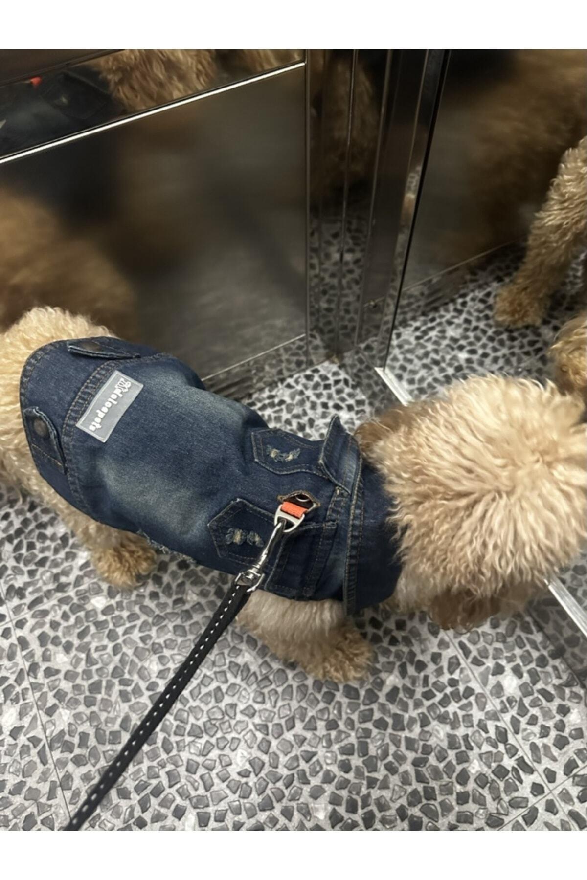 Kedi Köpek Kıyafeti Köpek Kot Ceket