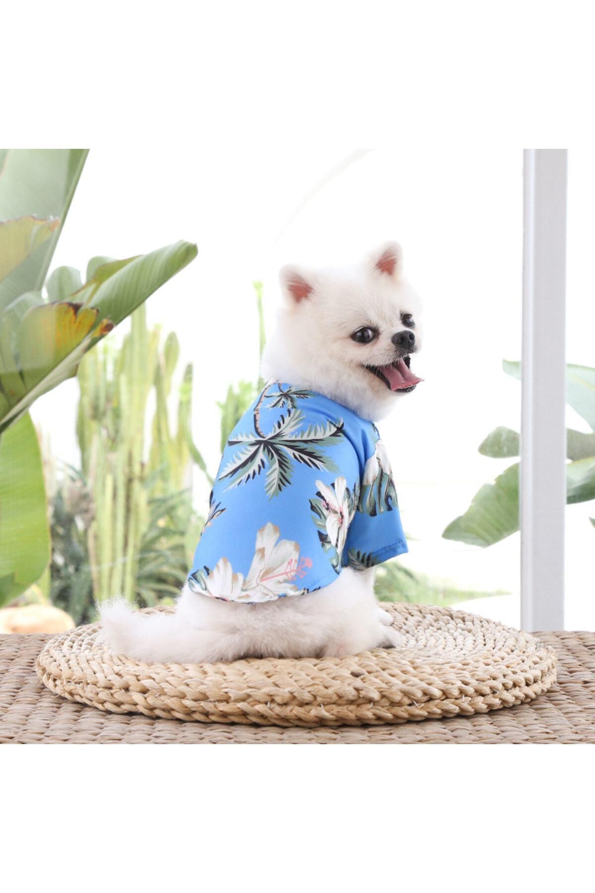 Kedi Köpek Kıyafeti/ Mavi Gömlek