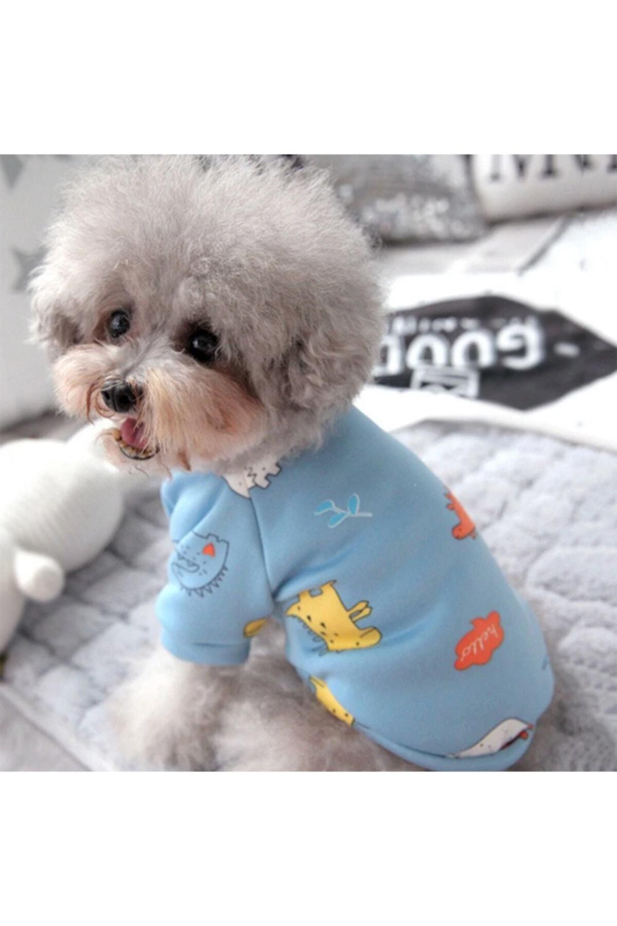 Kedi Köpek Kıyafeti/ Sky Blue T-shirt/mavi Tişört