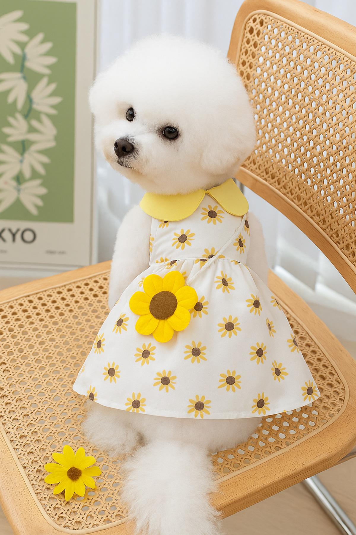 Kedi Köpek Kıyafeti SunFlower Dress/Ayçiçeği Elbise