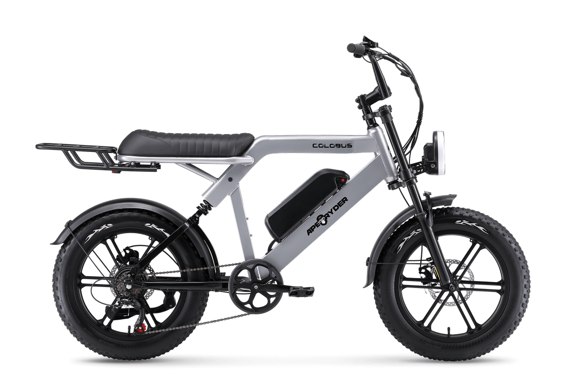 APE RYDER COLOBUS ELEKTRİKLİ BİSİKLET - GRİ (750W)