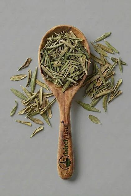 ZEYTİN YAPRAĞI