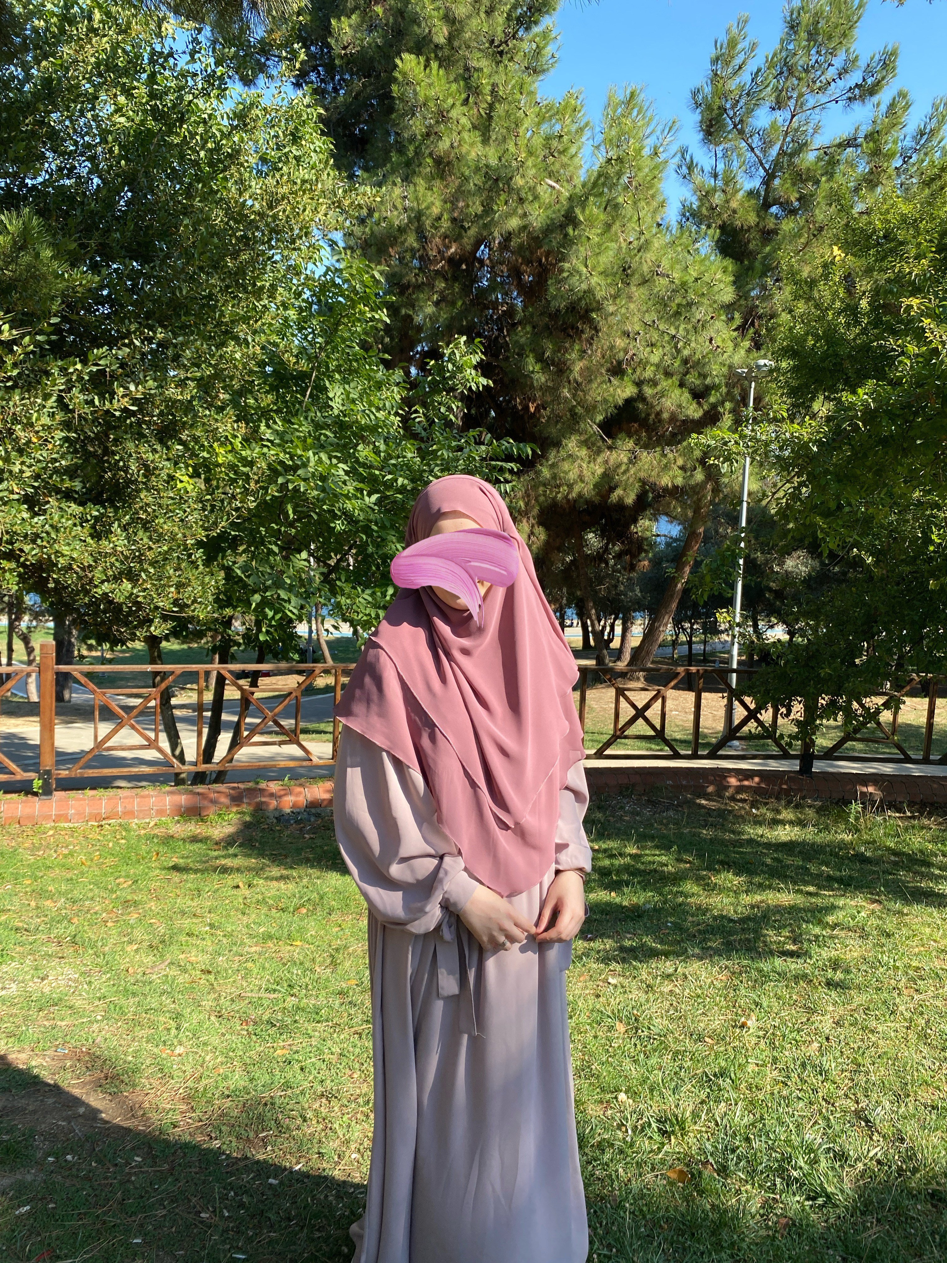 Gül Kurusu