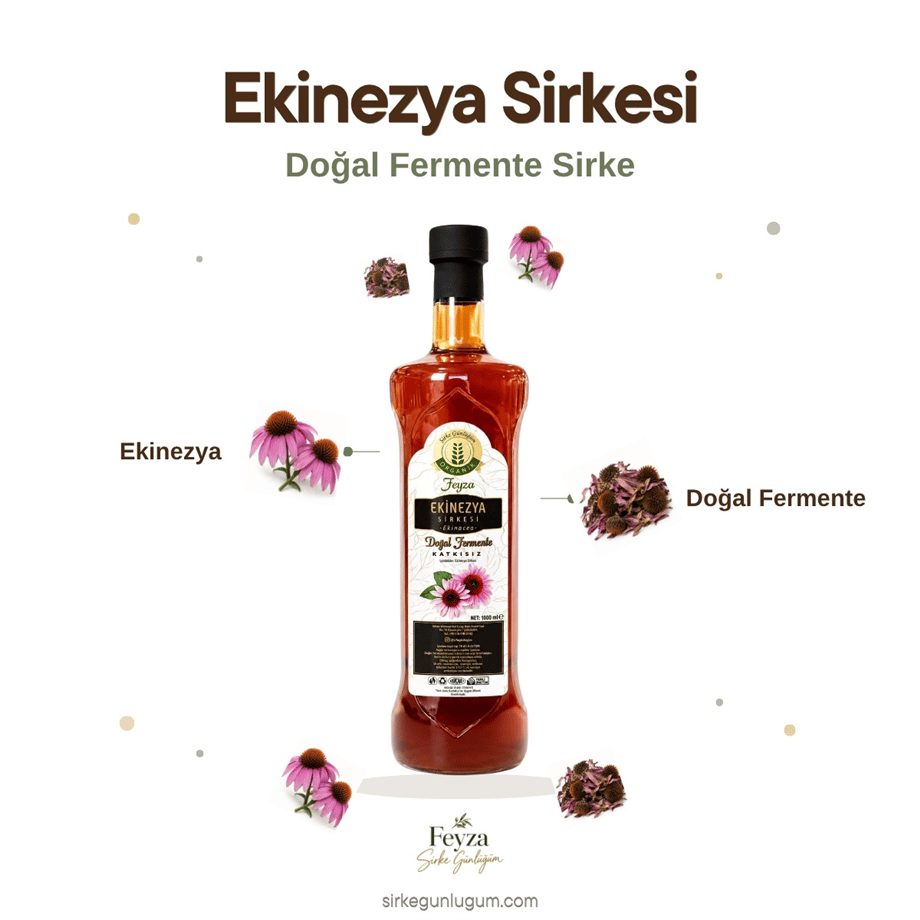 Ekinezya Sirkesi