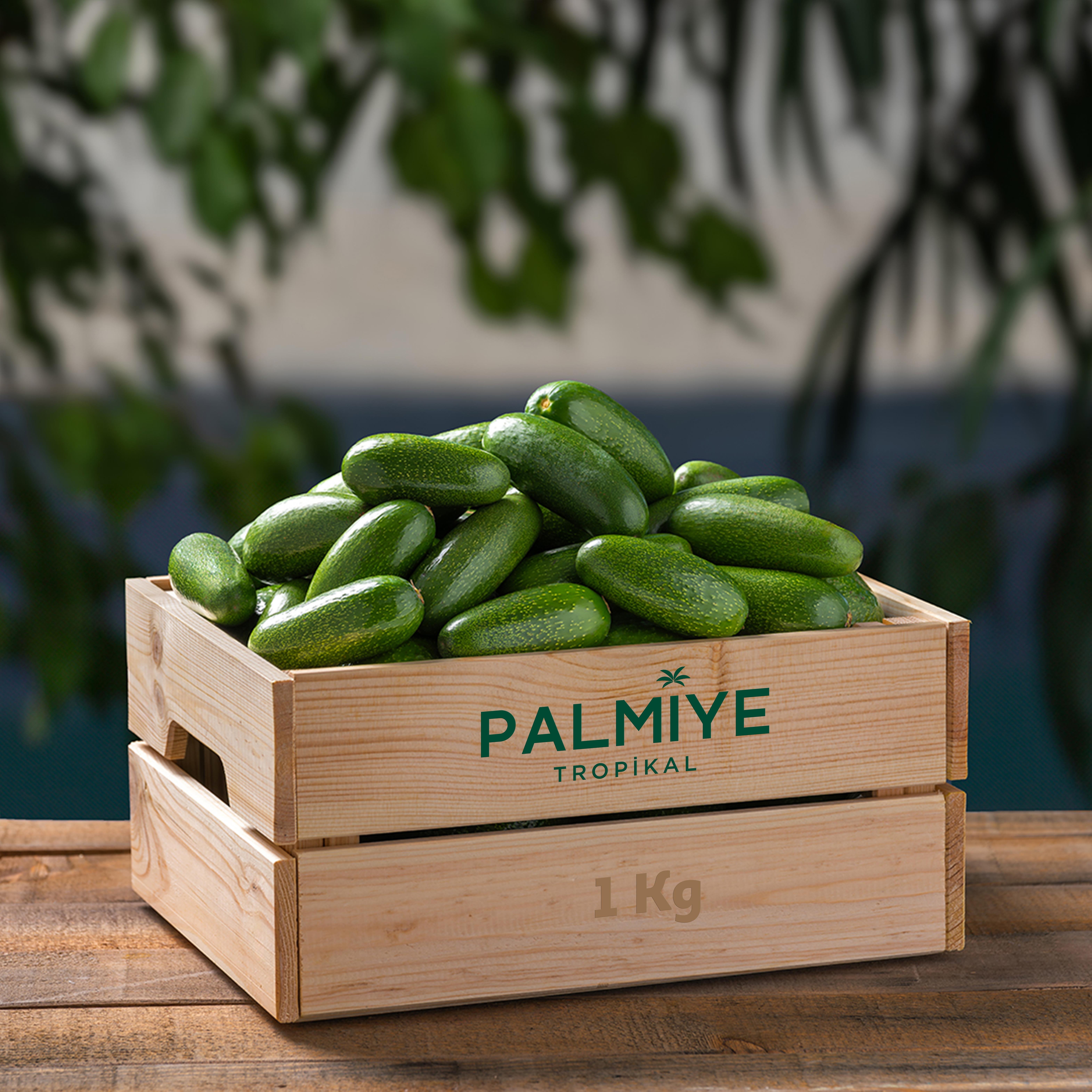 1 Kg Baby Avokado