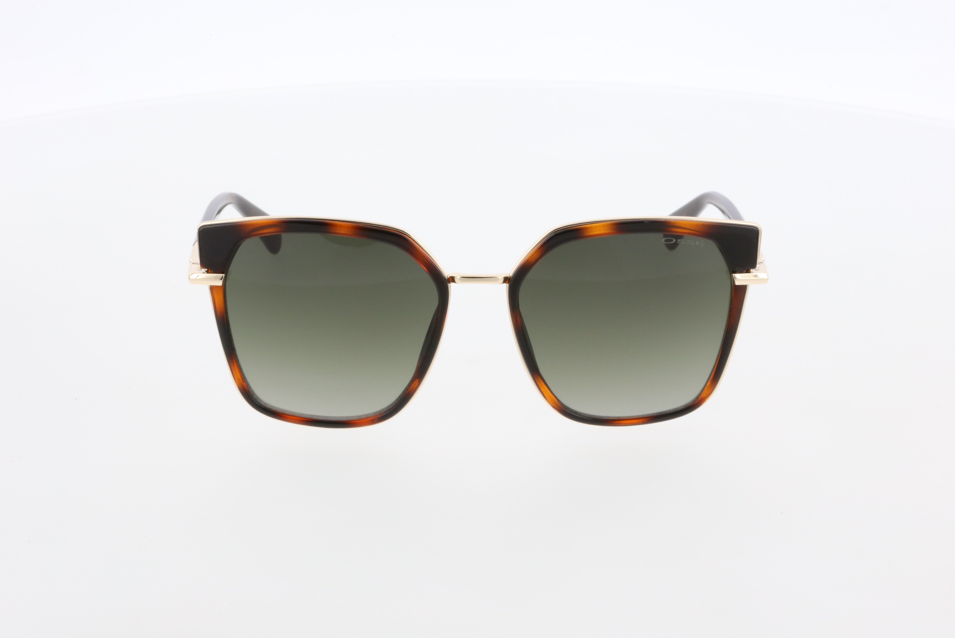 OSSE 3750 02 54/19