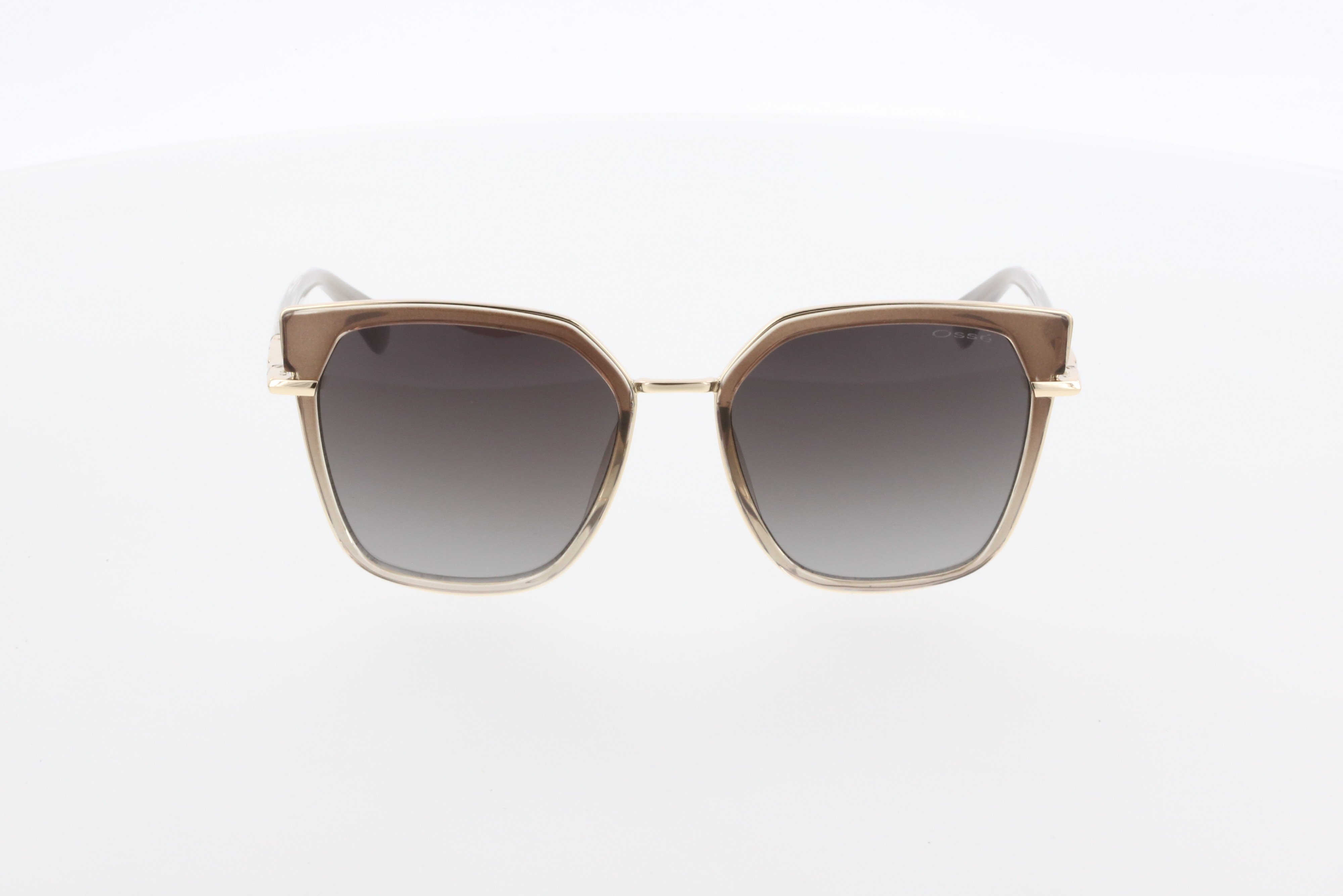 OSSE 3750 03 54/19