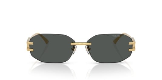 VERSACE 2274 1002/87 58/13