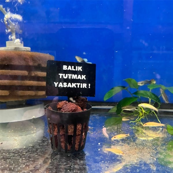 Akvaryum Balık Tutmak Yasaktır Levhası