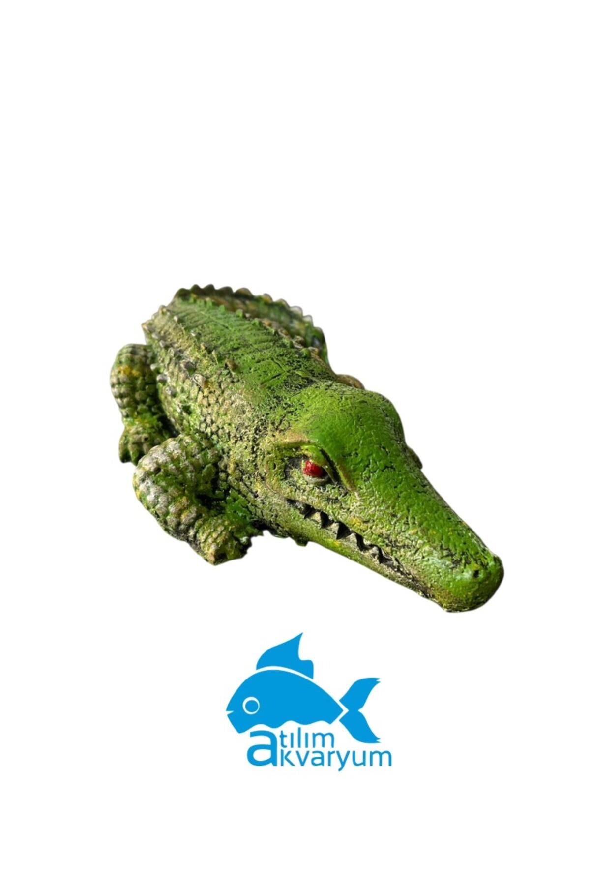 Premium Timsah Akvaryum Dekoru Büyük Boy