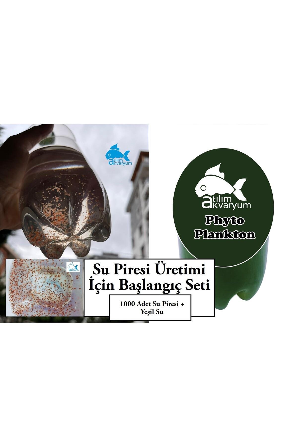 Su Piresi Kültürü ve Çoğaltma Seti Yeşil Su Dahil 1000 ADET